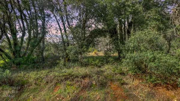 16202 Annie Drive, Grass Valley, CA 95949