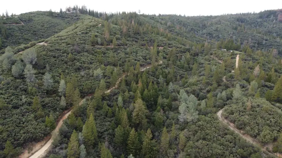 9220 Mule Skinner Road, Placerville, CA 95667 - Image #3