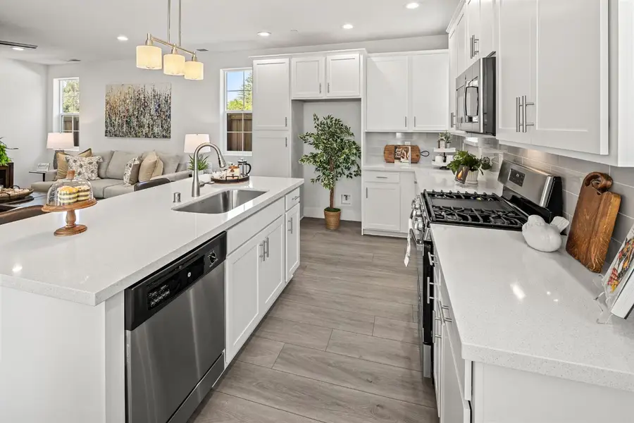 4401 Redstart Lane #Lot01, Rocklin, CA 95677 - Image #2