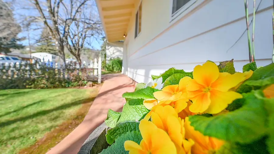 524 Williams St, Murphys, CA 95247 - #3