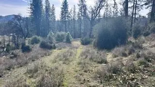 8066 Old Emigrant Trail, Mountain Ranch, CA 95246 - #3