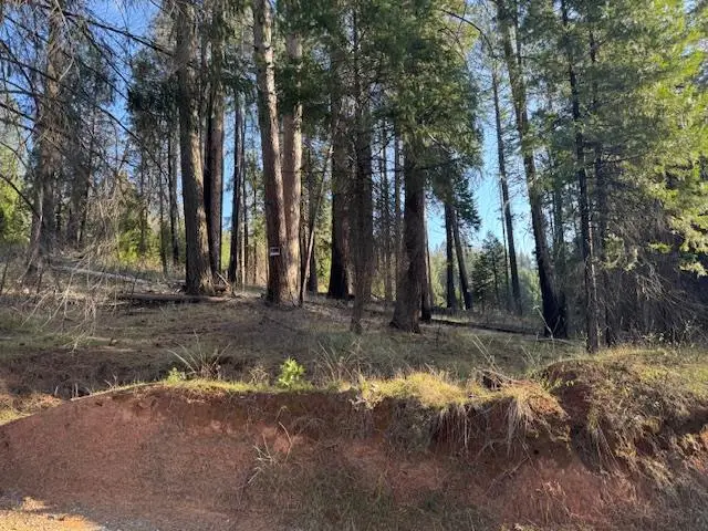 5026 Old Mine Road, Grizzly Flats, CA 95636 - #1