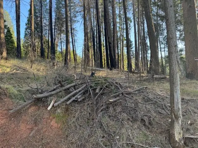 5026 Old Mine Road, Grizzly Flats, CA 95636 - #3