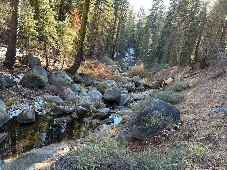 550 Cabbage Patch Log Road, Arnold, CA 95223 - #2