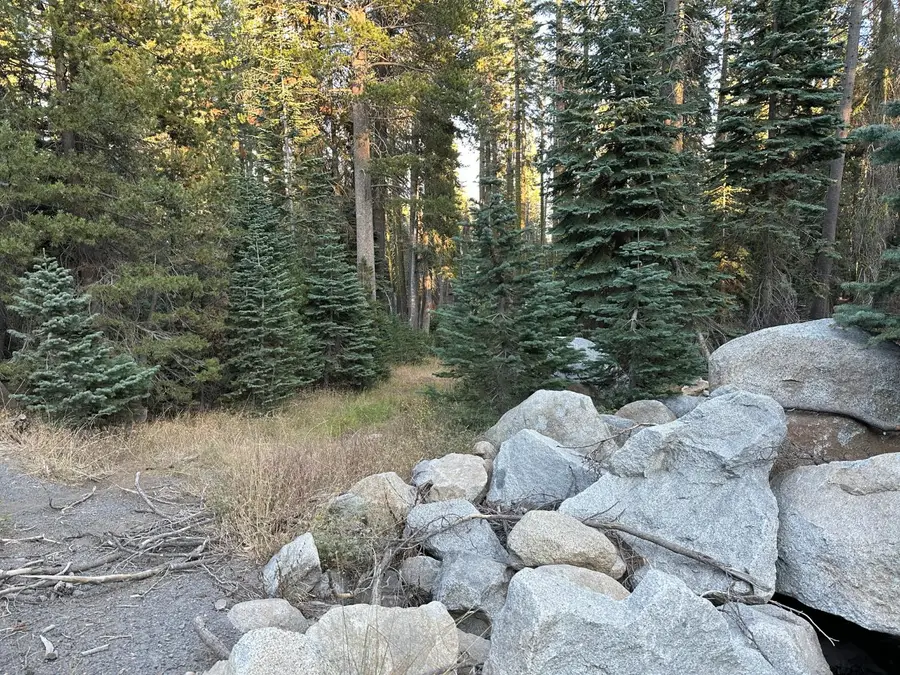 550 Cabbage Patch Log Road, Arnold, CA 95223 - #3