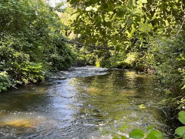 0 Crestview Drive, Murphys, CA 95247 - #1