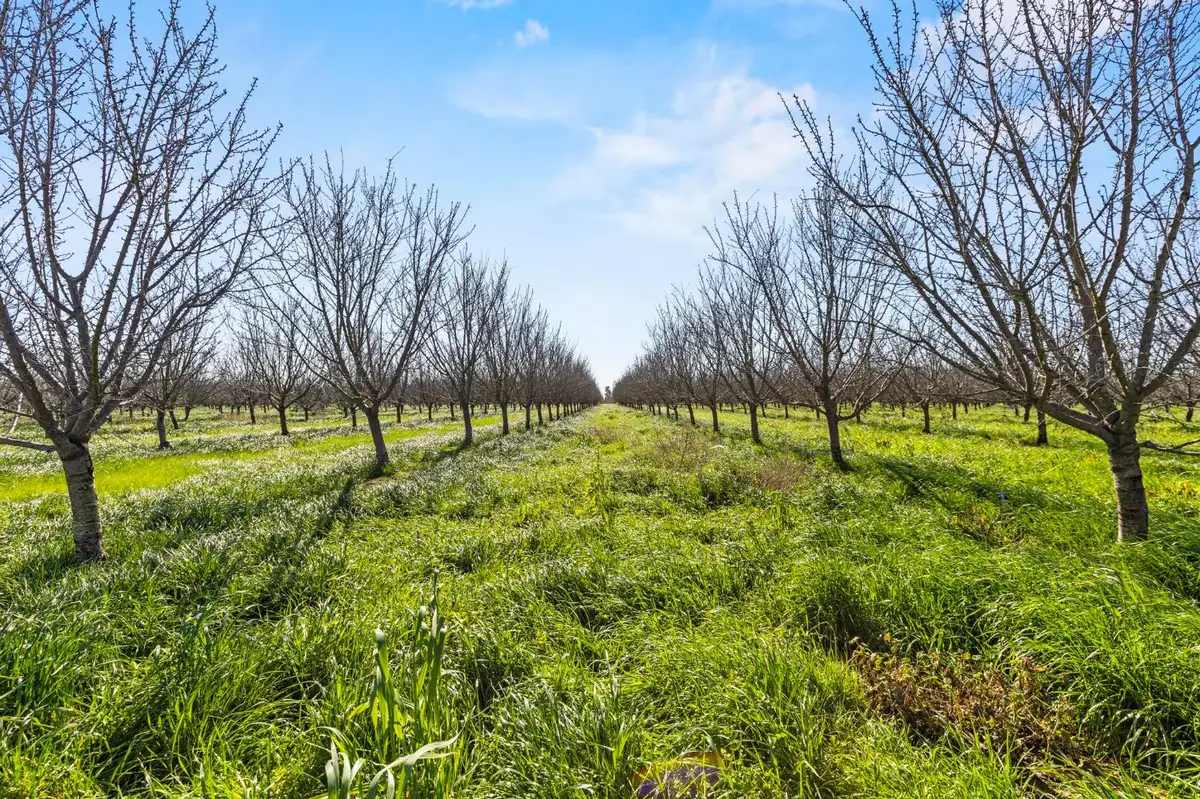 0 Sanders Road, Live Oak, CA 95953 - #1