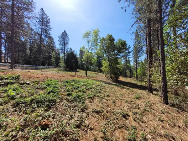 13560 Hopeful Hill Road, Nevada City, CA 95959