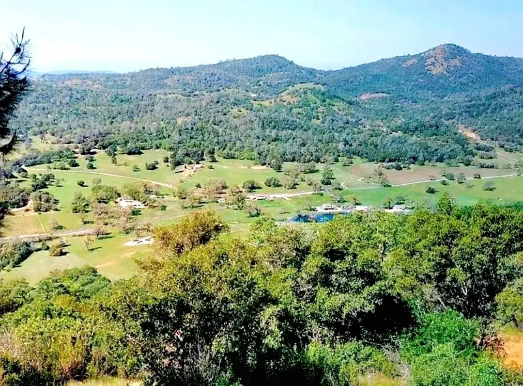 1669 Pinto Drive, Angels Camp, CA 95222 - #1