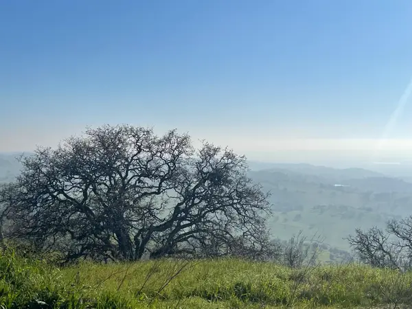 9349 Lazo Way, La Grange, CA 95329