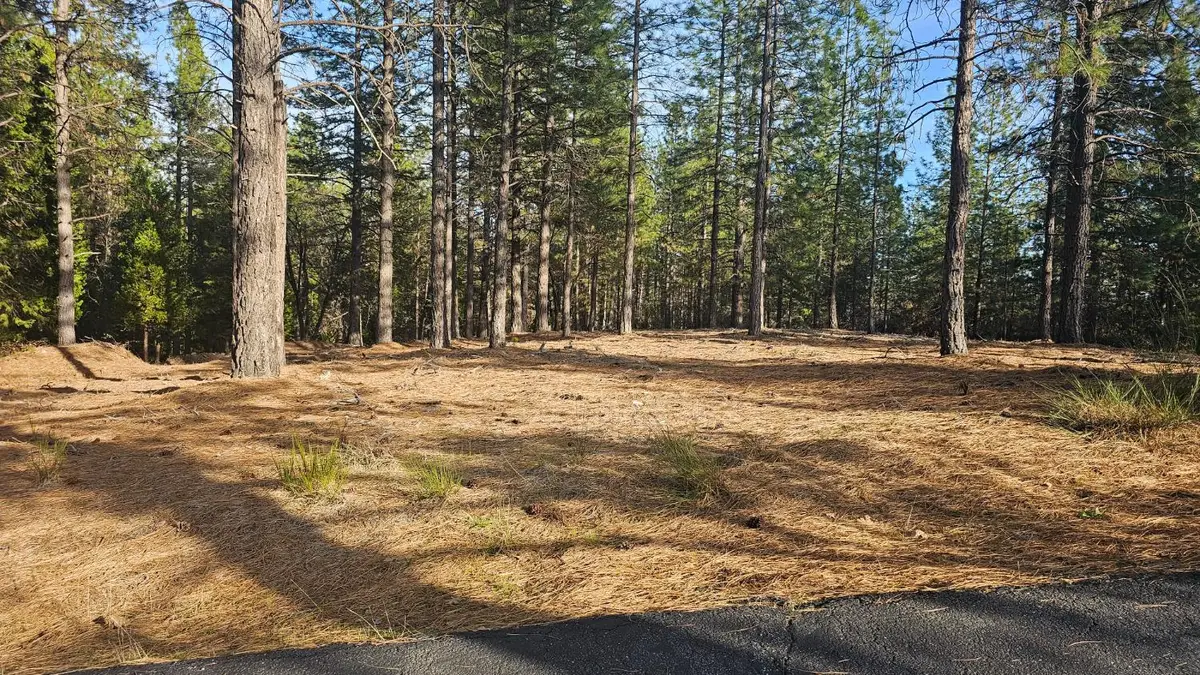 2801 Harkness Street, Georgetown, CA 95634 - #1