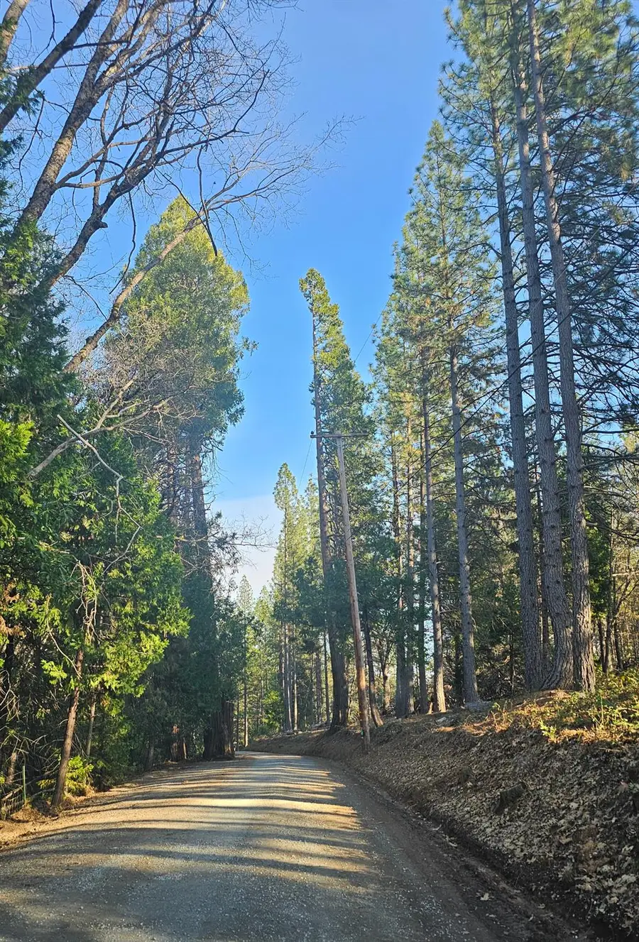 2801 Harkness Street, Georgetown, CA 95634 - #2