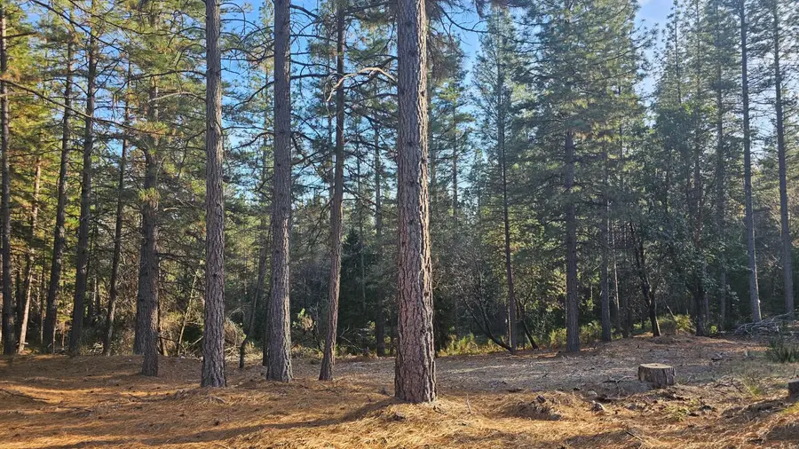 2801 Harkness Street, Georgetown, CA 95634 - #3