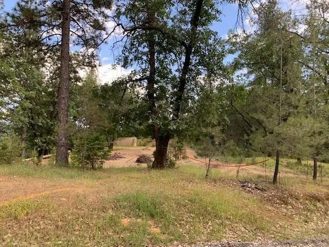 1500 Live Oak Road, Colfax, CA 95713 - Image #3