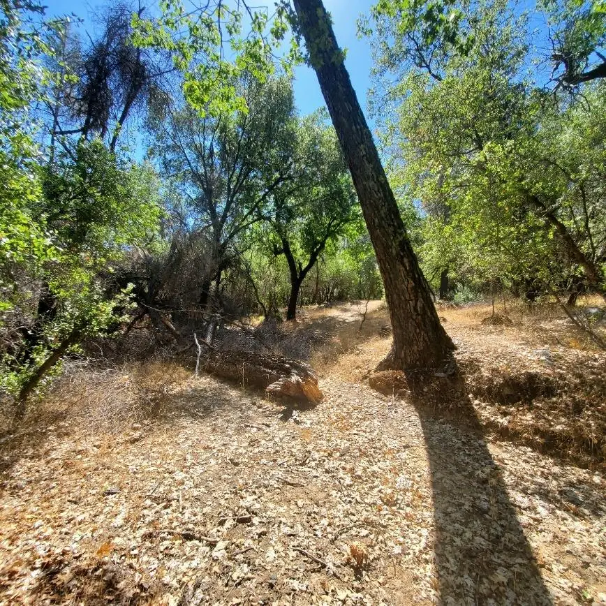 13985 Yah Way, Grass Valley, CA 95949 - #2