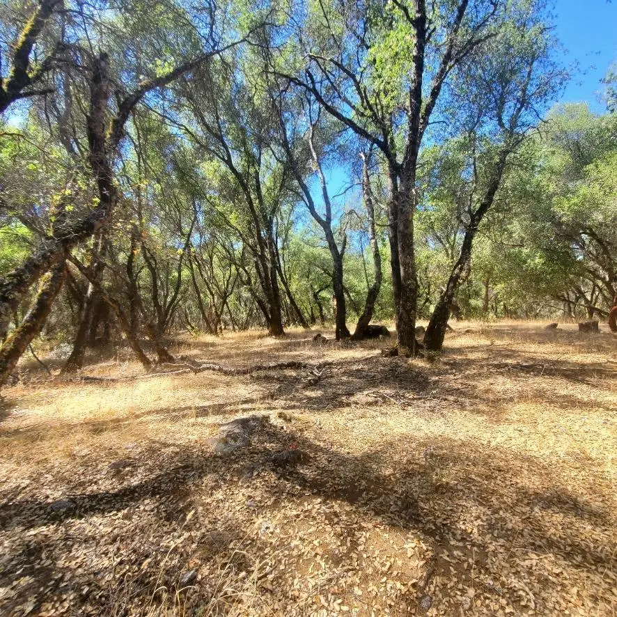 13985 Yah Way, Grass Valley, CA 95949 - #3