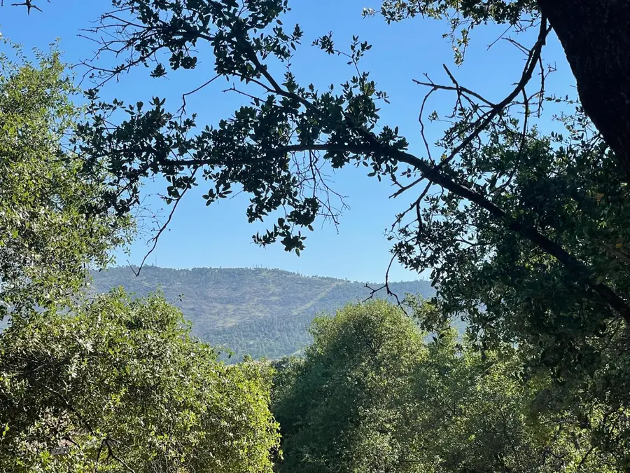 295 Mary Belle Way, Angels Camp, CA 95222 - #3