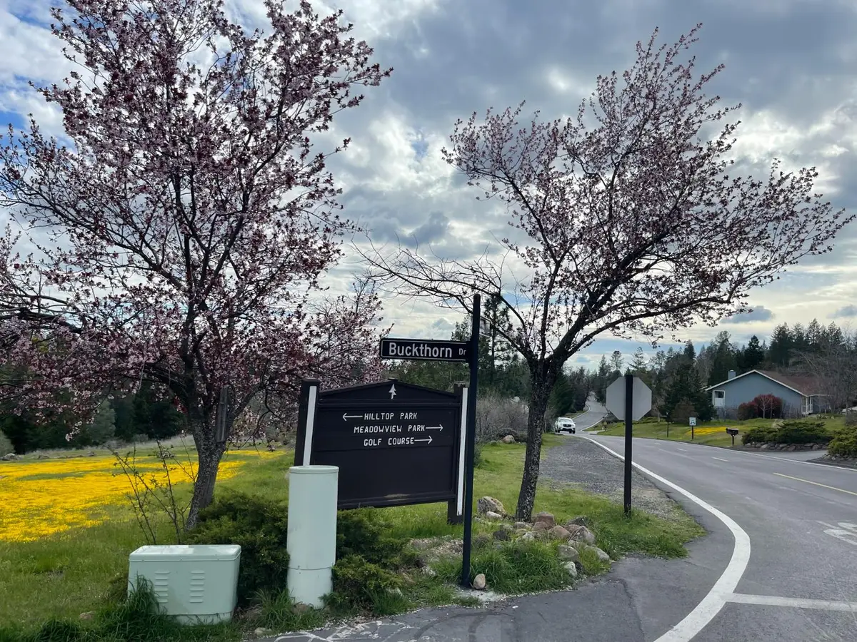 386 Buckthorn Drive, Murphys, CA 95247 - #1