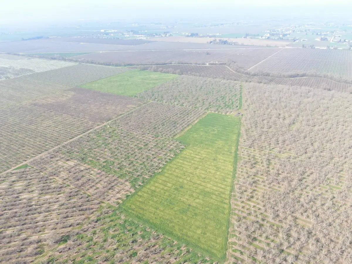 12255 E Eight Mile Road, Stockton, CA 95212 - #1