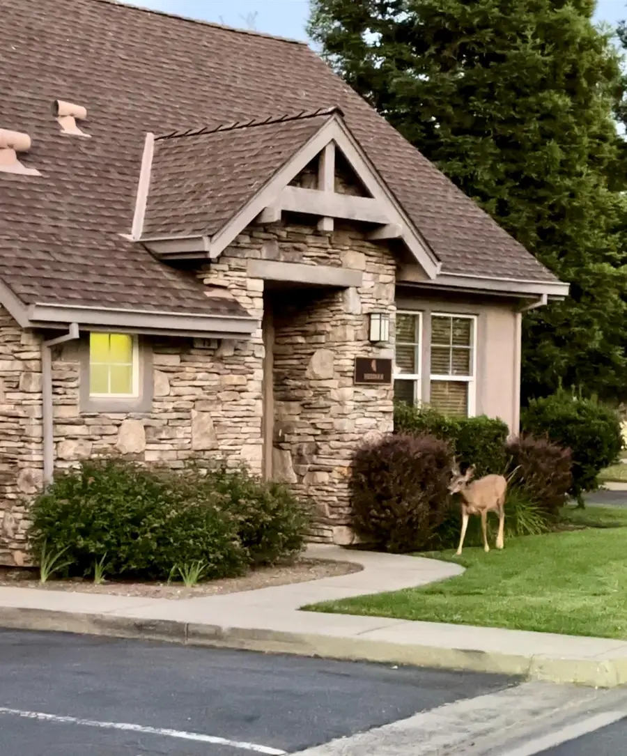 73 Quail Hollow Ln, Copperopolis, CA 95288 - #2