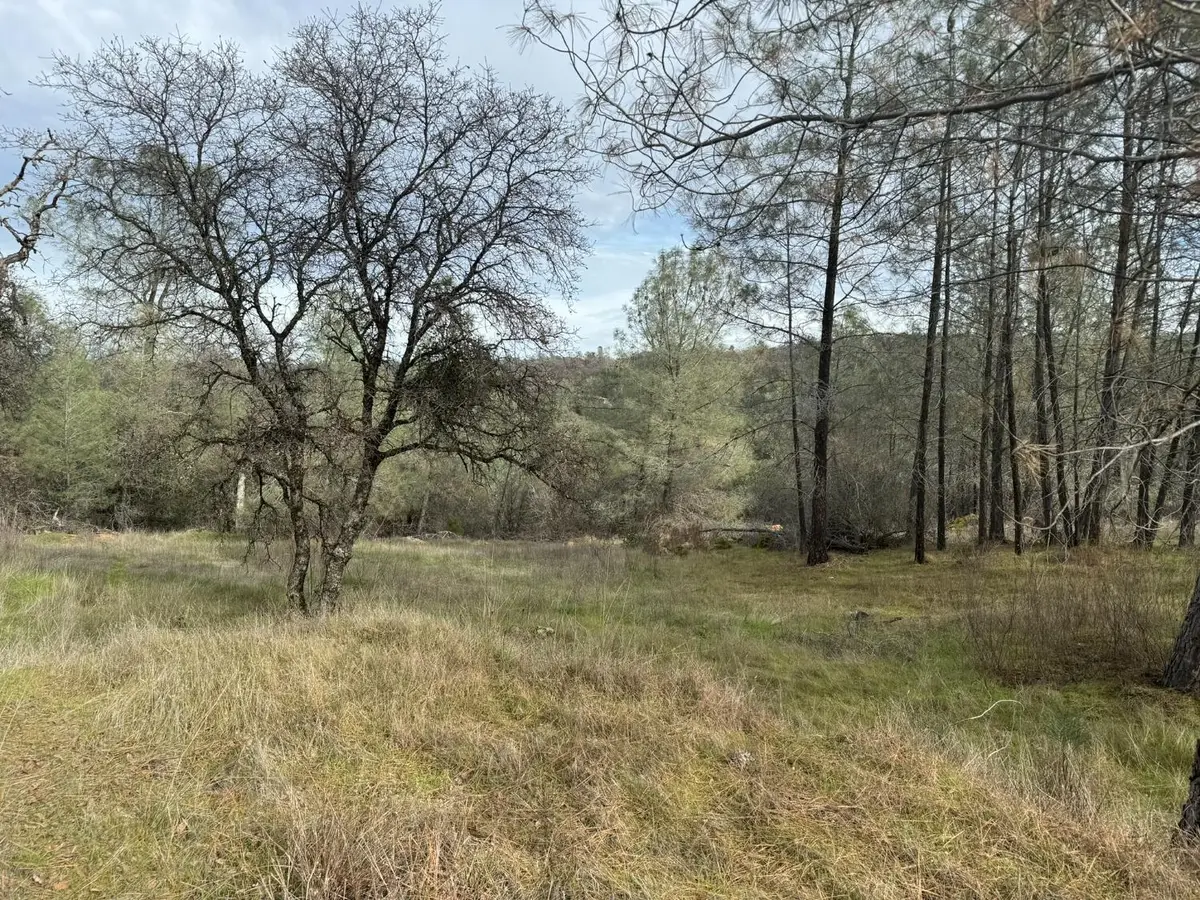 10600 Wild Turkey Lane, Smartsville, CA 95977 - #1