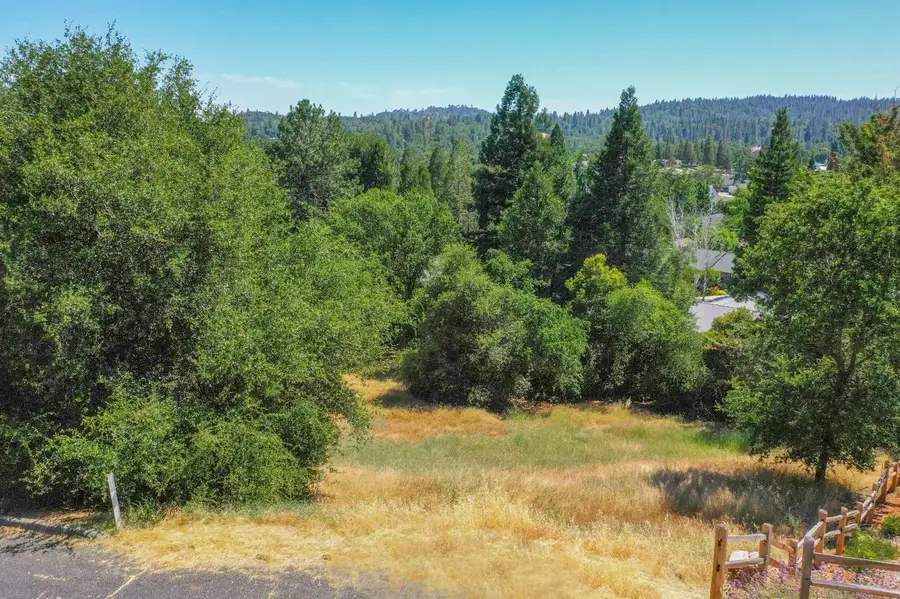 279 Wyldewood Drive, Murphys, CA 95247 - #2