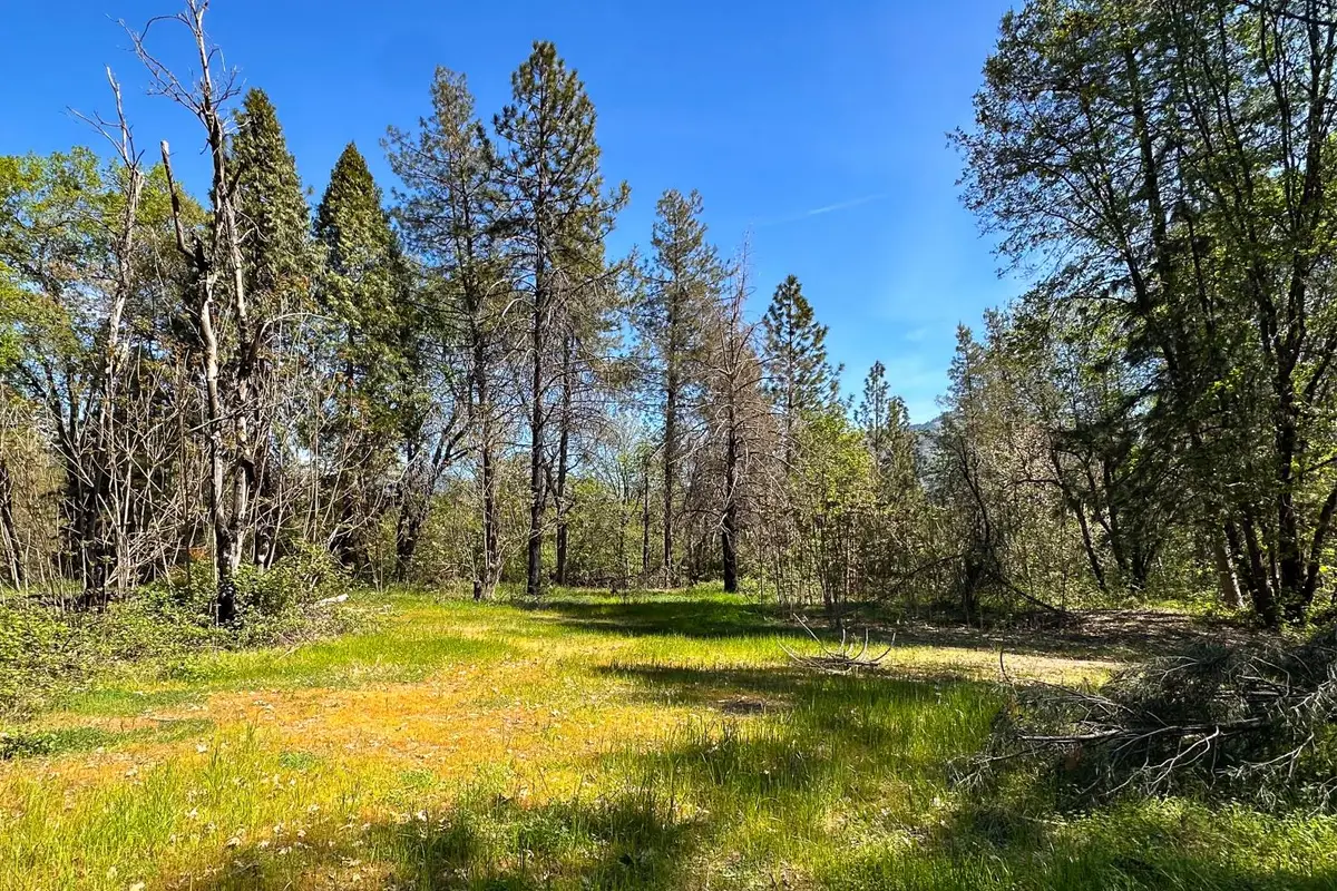 21138 Big Oak Lane, Lakehead, CA 96051 - #1