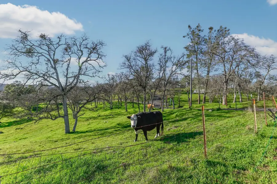 3653 Chuckwagon Drive, Copperopolis, CA 95228 - #3