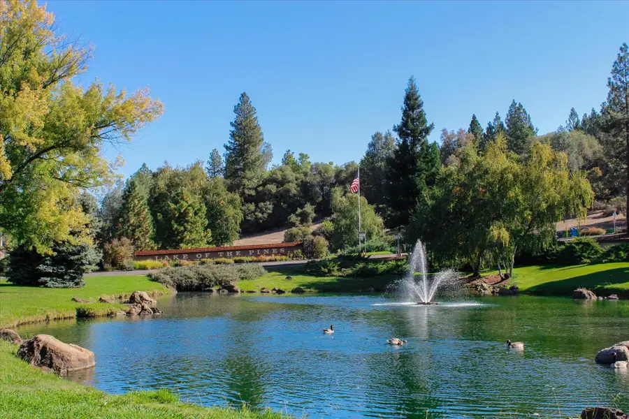 12353 Torrey Pines Drive, Auburn, CA 95602 - #3