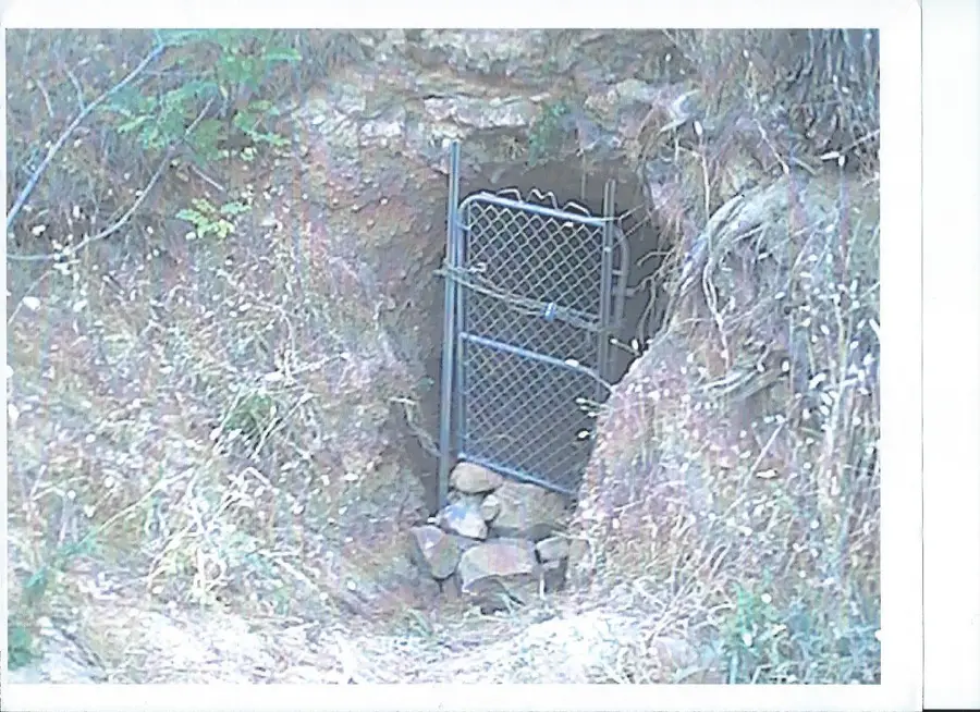 8265 High Street, Foresthill, CA 95631 - #3