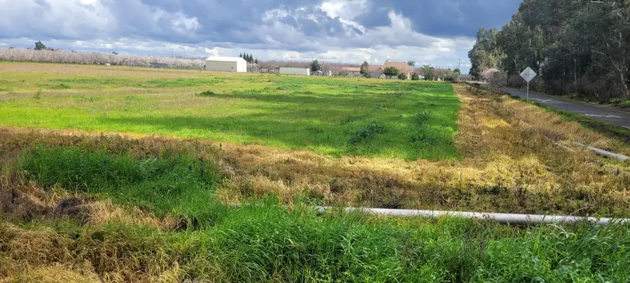 51090 County Rd 4 Road, Dunnigan, CA 95937 - Image #3