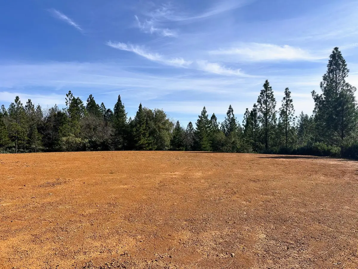 525 Deerborne Court, Colfax, CA 95713 - #1