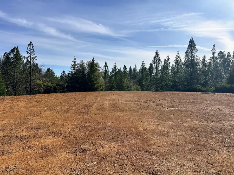 525 Deerborne Court, Colfax, CA 95713 - #2