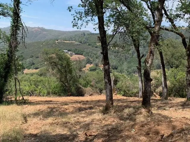 555 Jurgens Road, Rescue, CA 95672 - #3