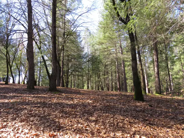 0 Forest Lake Place, Colfax, CA 95713