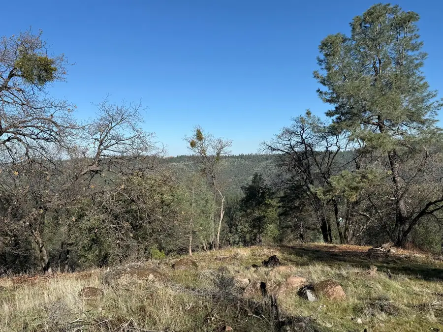 0 Snowberry Court, Murphys, CA 95247 - #2