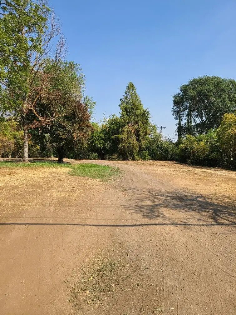 4134 Bannister Road, Fair Oaks, CA 95628 - #2