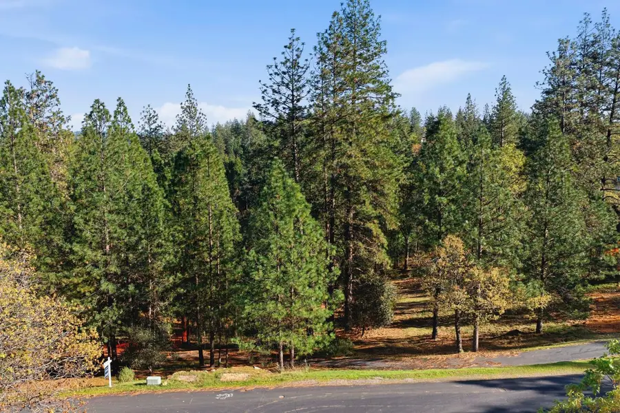 1642 The Point Road Lot 297, Meadow Vista, CA 95722 - #3