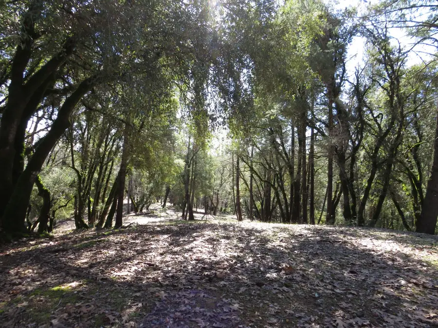 0 Forest Lake Place, Colfax, CA 95713 - #2