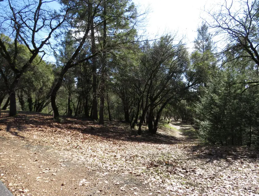 0 Forest Lake Place, Colfax, CA 95713 - #3