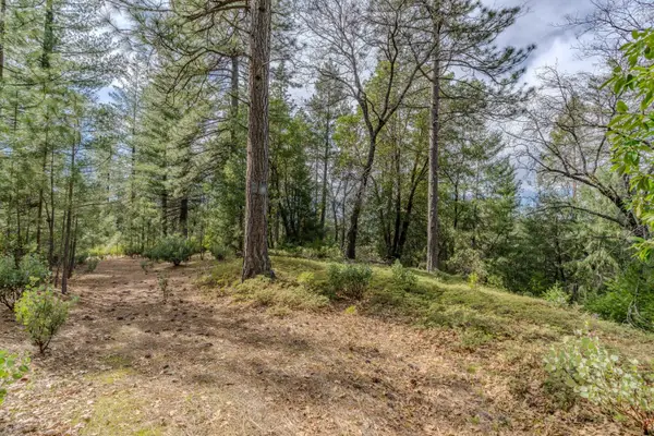 0 Volcano Trail, Pioneer, CA 95666