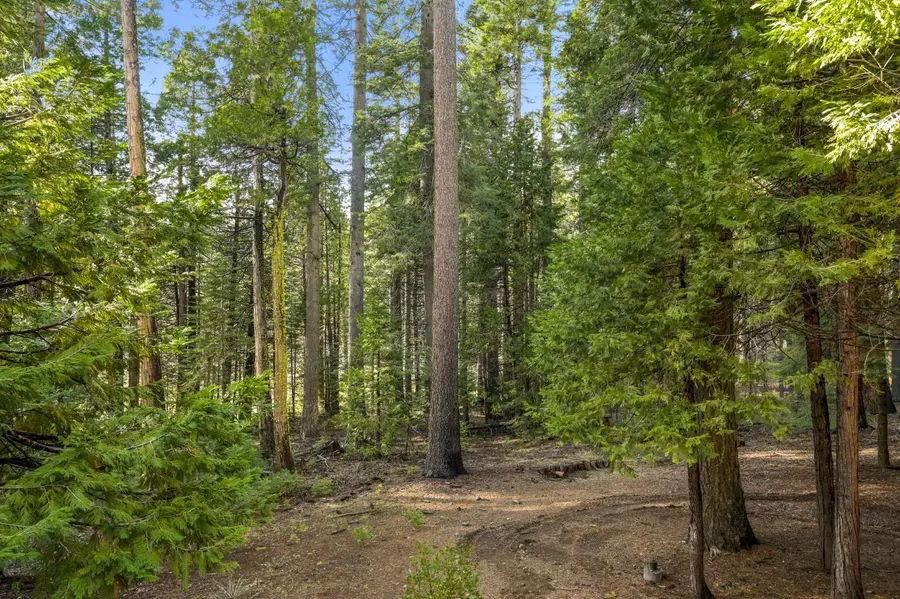 4909 Hokan Circle, Arnold, CA 95223 - #3