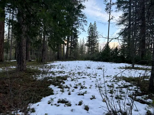 164 Vireo Court, Avery, CA 95224