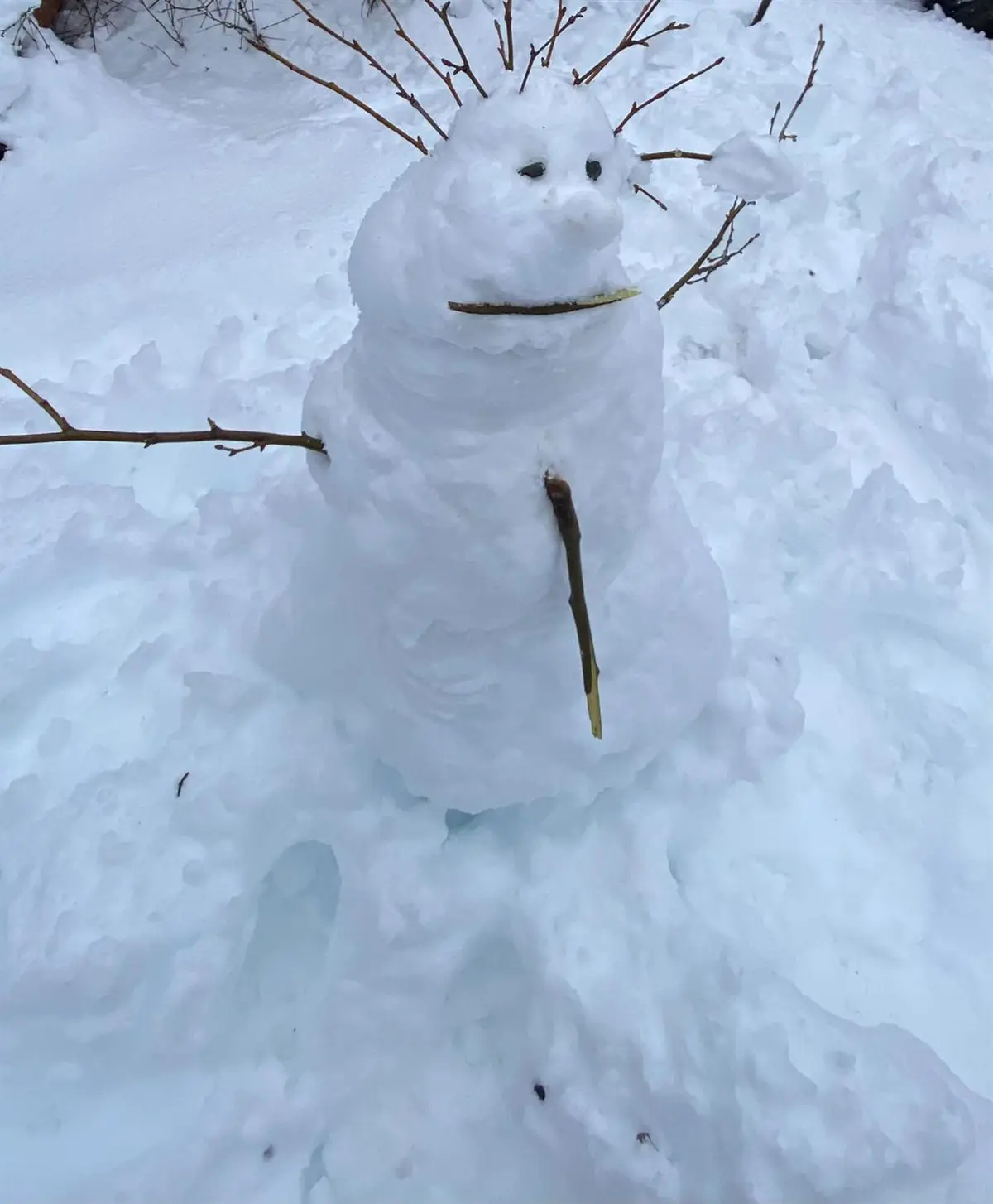 33312 Mattell Way, Dutch Flat, CA 95714 - #1