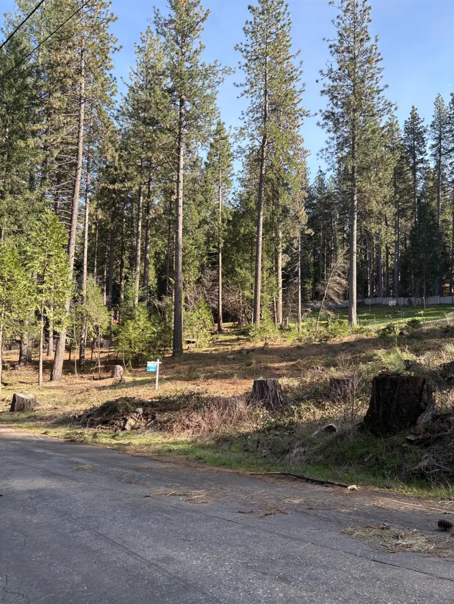 33312 Mattell Way, Dutch Flat, CA 95714 - #3