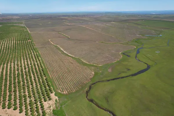 17559 E Liberty Road, Clements, CA 95227