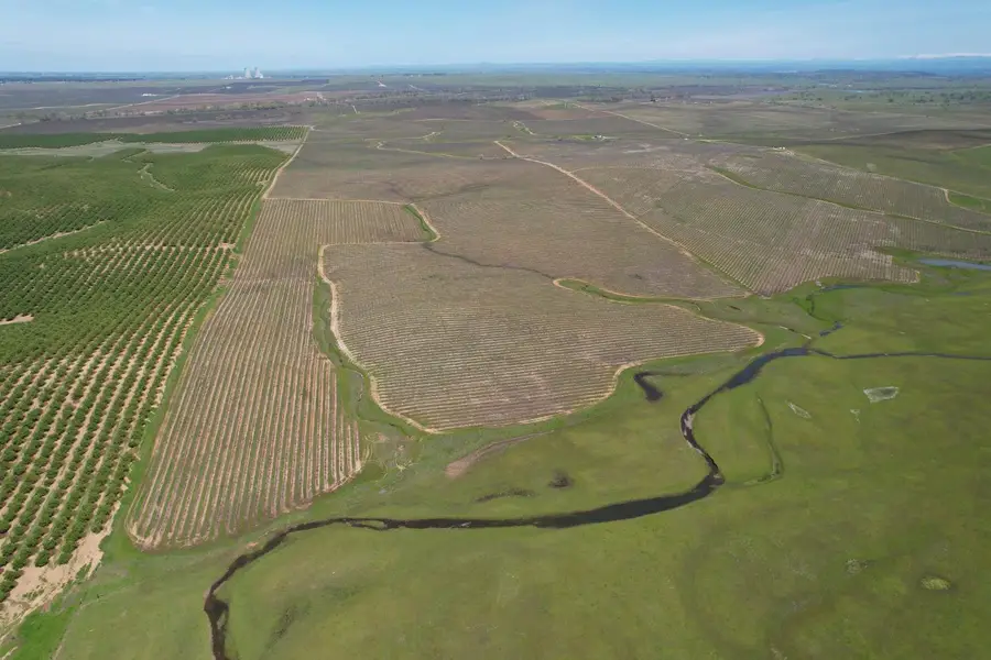 17559 E Liberty Road, Clements, CA 95227 - #2