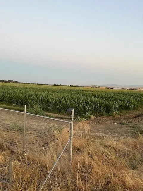 19366 S Lammers Road, Tracy, CA 95304 - #2