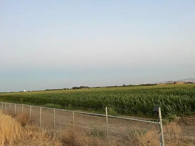 19366 S Lammers Road, Tracy, CA 95304 - #3