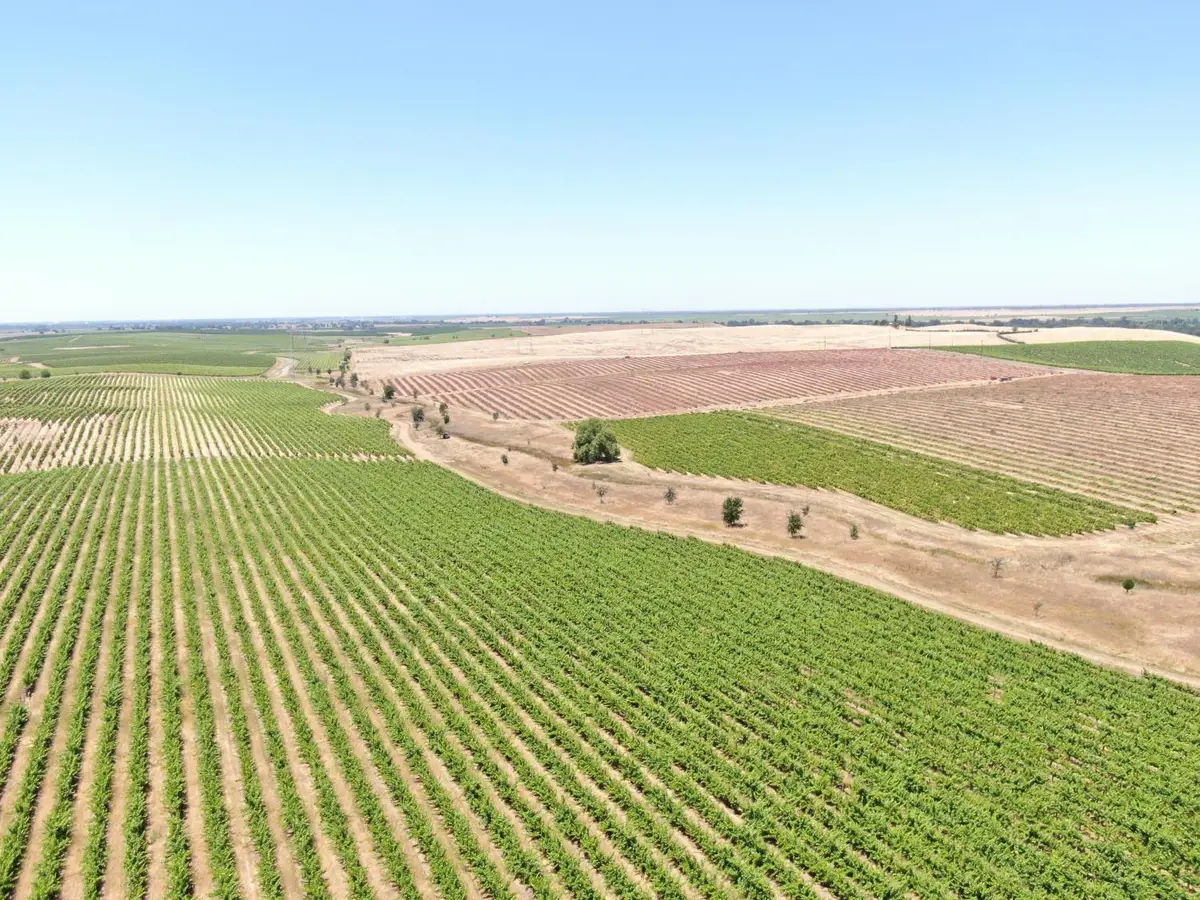 30222 N Mackville Road, Acampo, CA 95220 - #1
